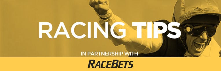 MRF RacingTips Racebets