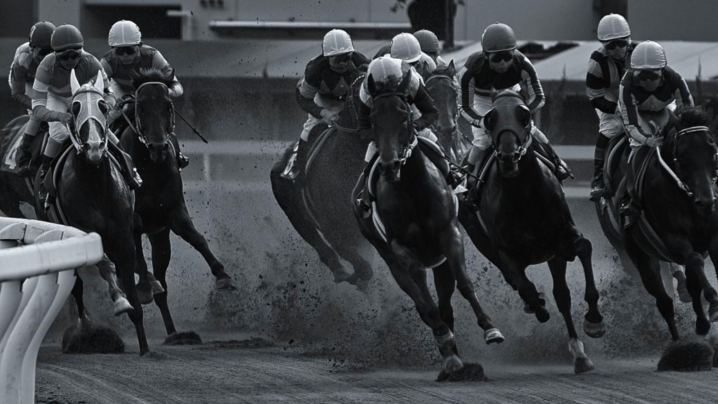 beautiful horse racing high resolution wallpaper desktop background free download