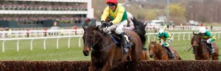 MRF17 Cheltenham GoldCup