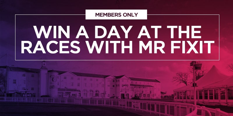 Members DayAtTheRaces