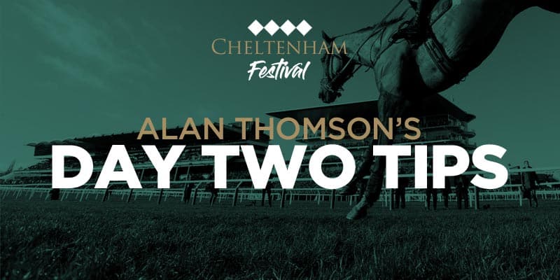 Cheltenham2019 Thommo2