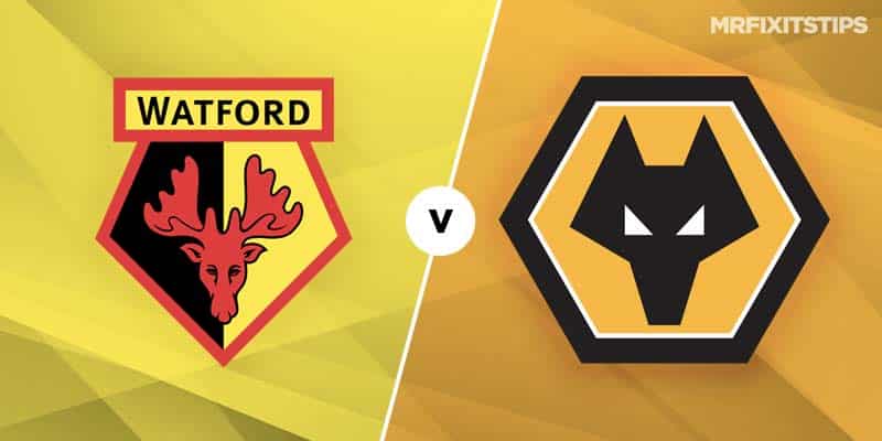 MRF2019 WatfordvWolves