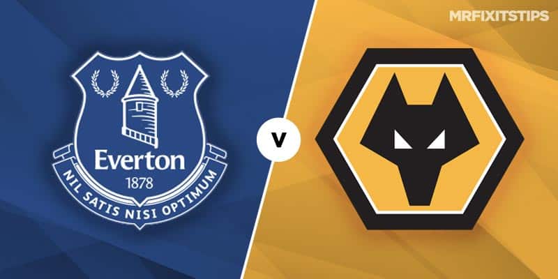 MRF2019 EvertonvWolves