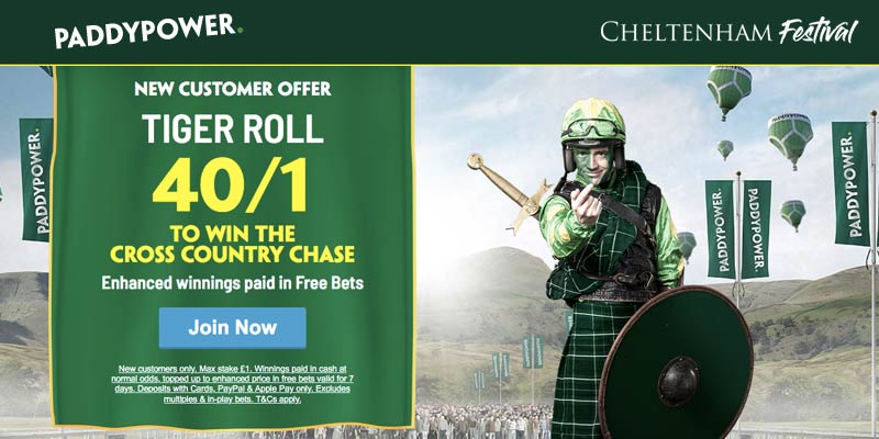 Get 40/1 on Tiger Roll at Paddy Power