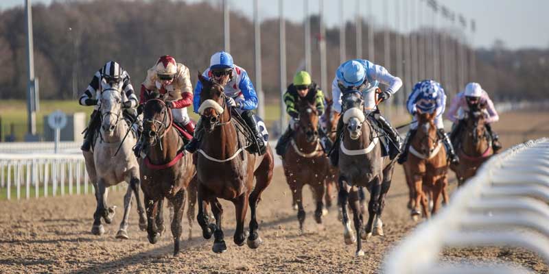 Racing retunrs at Newcastle