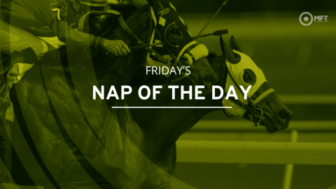 Friday’s Nap of the Day: Calanthe can get it done at Lingfield