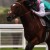 Avatar of The Amazing Frankel