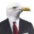 Avatar of Seagull_Man