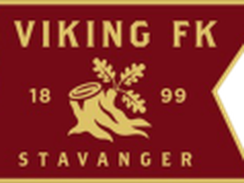 Viking e1750848450513