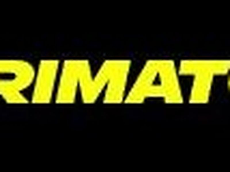 Parimatch exclusive Logo