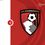 Fulham vs Bournemouth  Prediction and Betting Tips