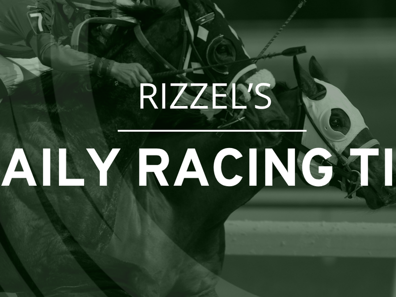 Friday's Racing Tips &ndash; Came From Nowhere can prove he's a class above of his Class 2 opposition at Ayr