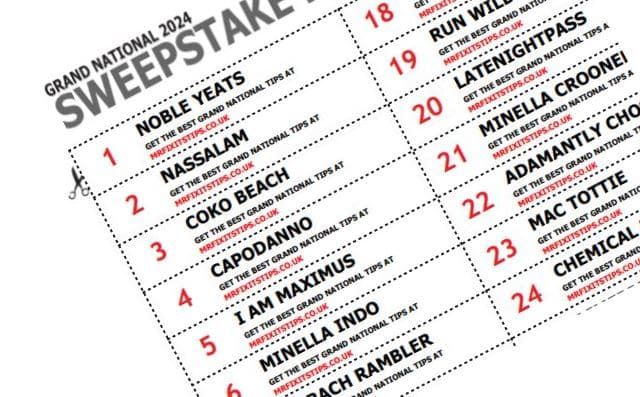 https%3A%2F%2Fmedia.mrfixitstips.co.uk%2Fmain%2F2019%2F04%2Fgrand national 2024 sweepstake free download