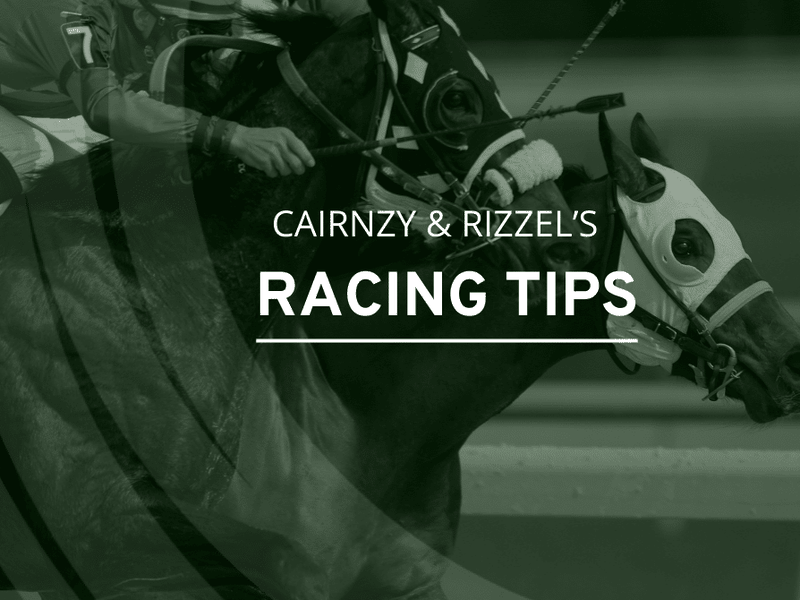 Wednesday's Racing Tips – Escapeandevade's falling handicap mark makes him an attractive proposition on stable debut for Harry Derham