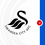 Swansea City vs Birmingham City Prediction and Betting Tips &ndash; 2026-08-08