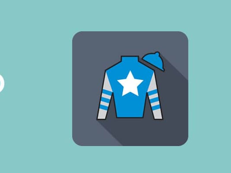 Racing form cards explained &ndash; how to read racecards