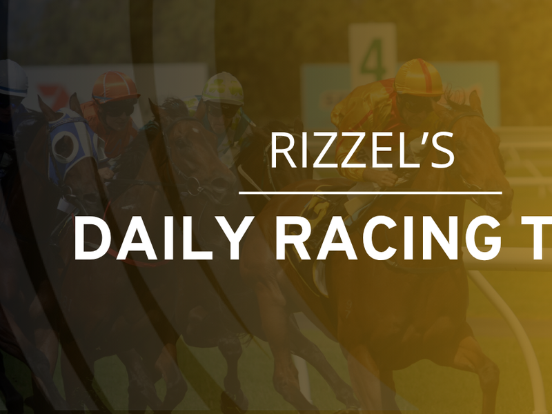 Wednesday's Racing Tips &ndash; The Other Mozzie is a lively outsider pick off his last winning handicap mark