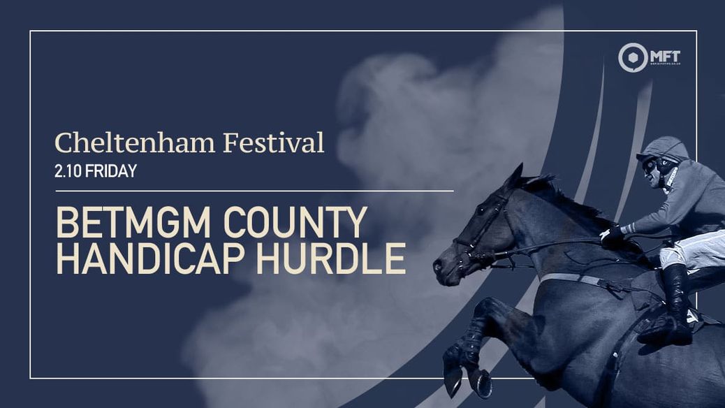 https%3A%2F%2Fmedia.mrfixitstips.co.uk%2Fmain%2F2024%2F03%2FCNM2024 Fri 210 BetMGM County Handicap Hurdle Race