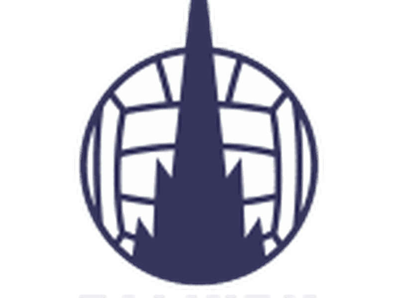 scotland falkirk fc
