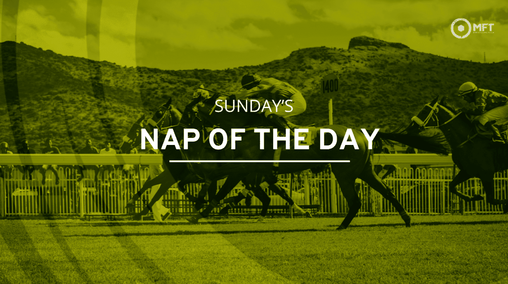 https%3A%2F%2Fmedia.mrfixitstips.co.uk%2Fmain%2F2024%2F09%2FSundays NAP of the Day