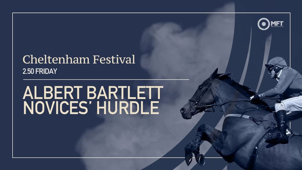 https%3A%2F%2Fmrfixitstips.co.uk%2Fapp%2Fuploads%2F2024%2F03%2FCNM2024 Fri 250 Albert Bartlett Novices Hurdle Race