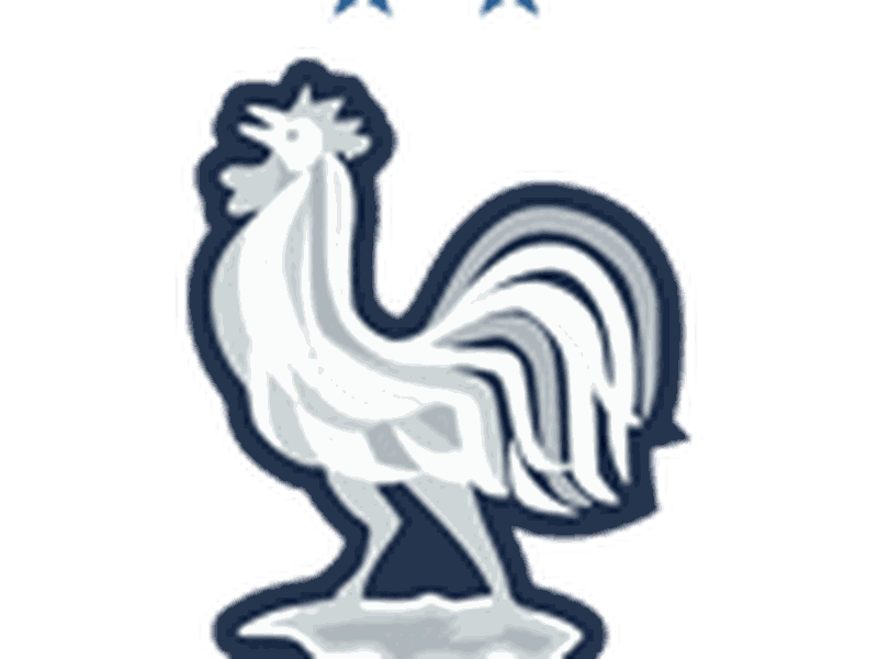 France National Team Badge