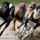 Greyhound Tips – 24th October 2024: Two dogs for Thursday’s action at Newcastle