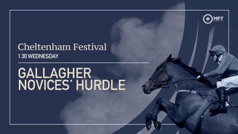 Gallagher Novices' Hurdle Tips & Race Preview