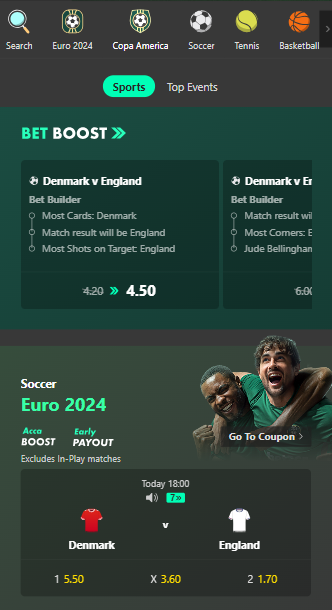 bet365 euros 2024 bets on england v denmark football match
