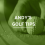 Golf betting: Zozo Championship betting tips and preview