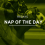 Friday’s Nap of the Day: Bernadine to break the losing run at Newcastle 